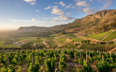 Accounting Firm Constantia
