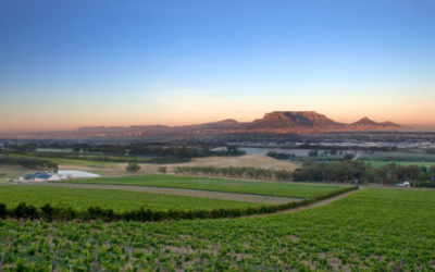 Accounting Firm Durbanville