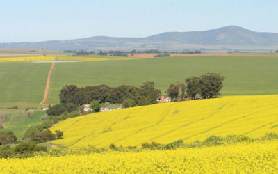 Accounting Firm Malmesbury