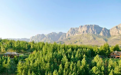 Accounting Firm Somerset West