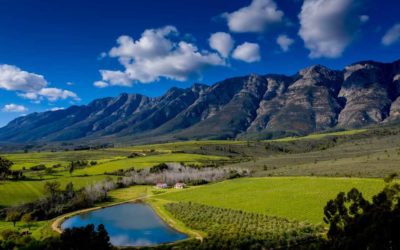 Accounting Firm Tulbagh